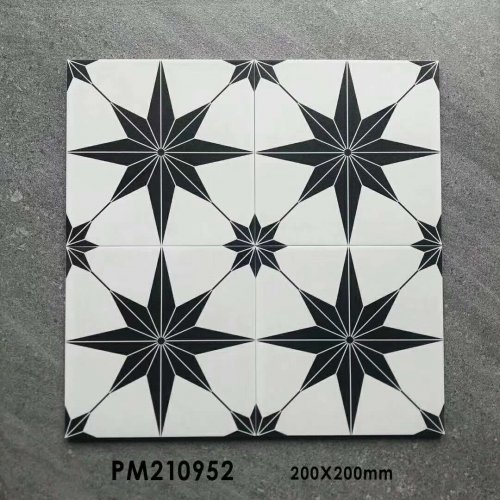 antique black and white encaustic tile-18