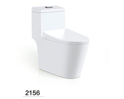 Recol one piece toilet