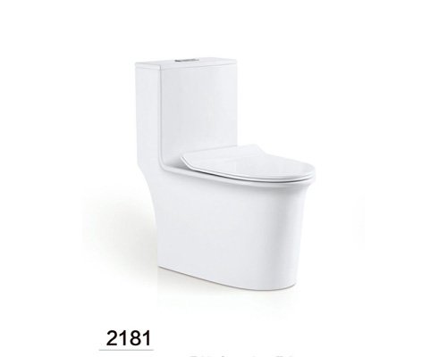 siphonic on piece toilet