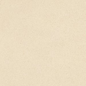 pepper and salt polished tile polished finished