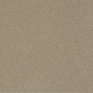 pepper and salt polished tile for project