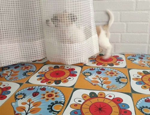 Ethnic series encaustic tile