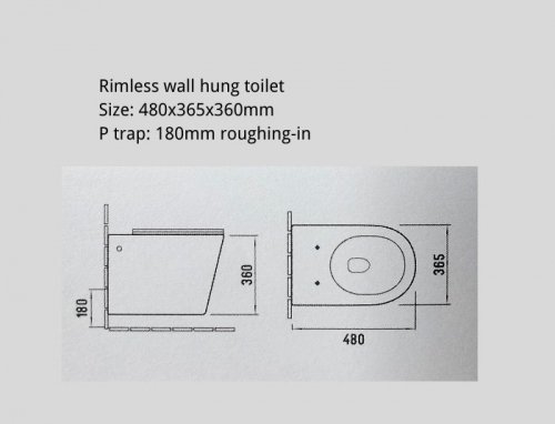 wall hung toilet profile