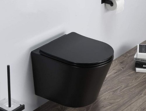 rimless black wall hung toilet